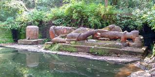 Chakradhara Watch Point